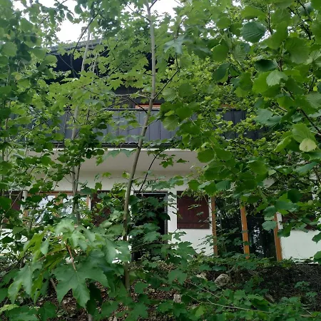 Frankenglueck Apartmán *
