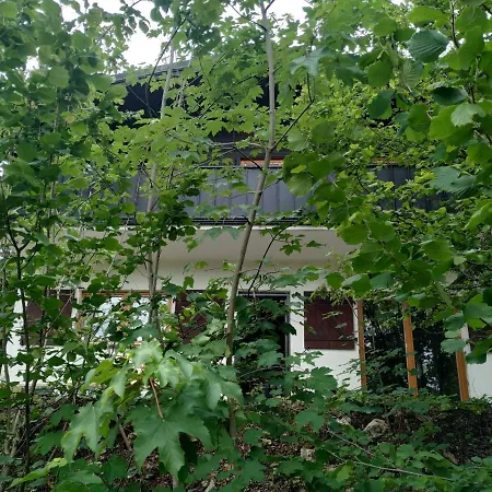 Appartement Frankenglueck *
